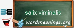 WordMeaning blackboard for salix viminalis
